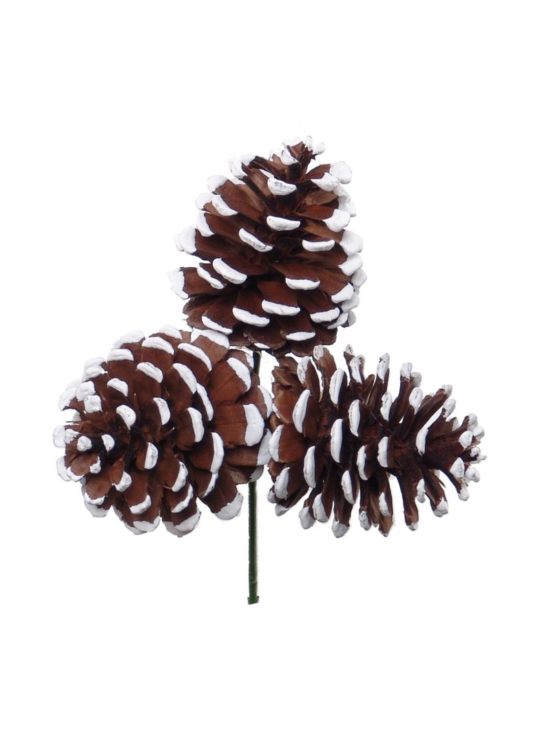 2.5-Inch White Tipped Pine Cone Picks - Set of 36 Pieces - Natural Pinecone Decorations - DIY Crafts, Floral Arrangements, Holiday Decor
