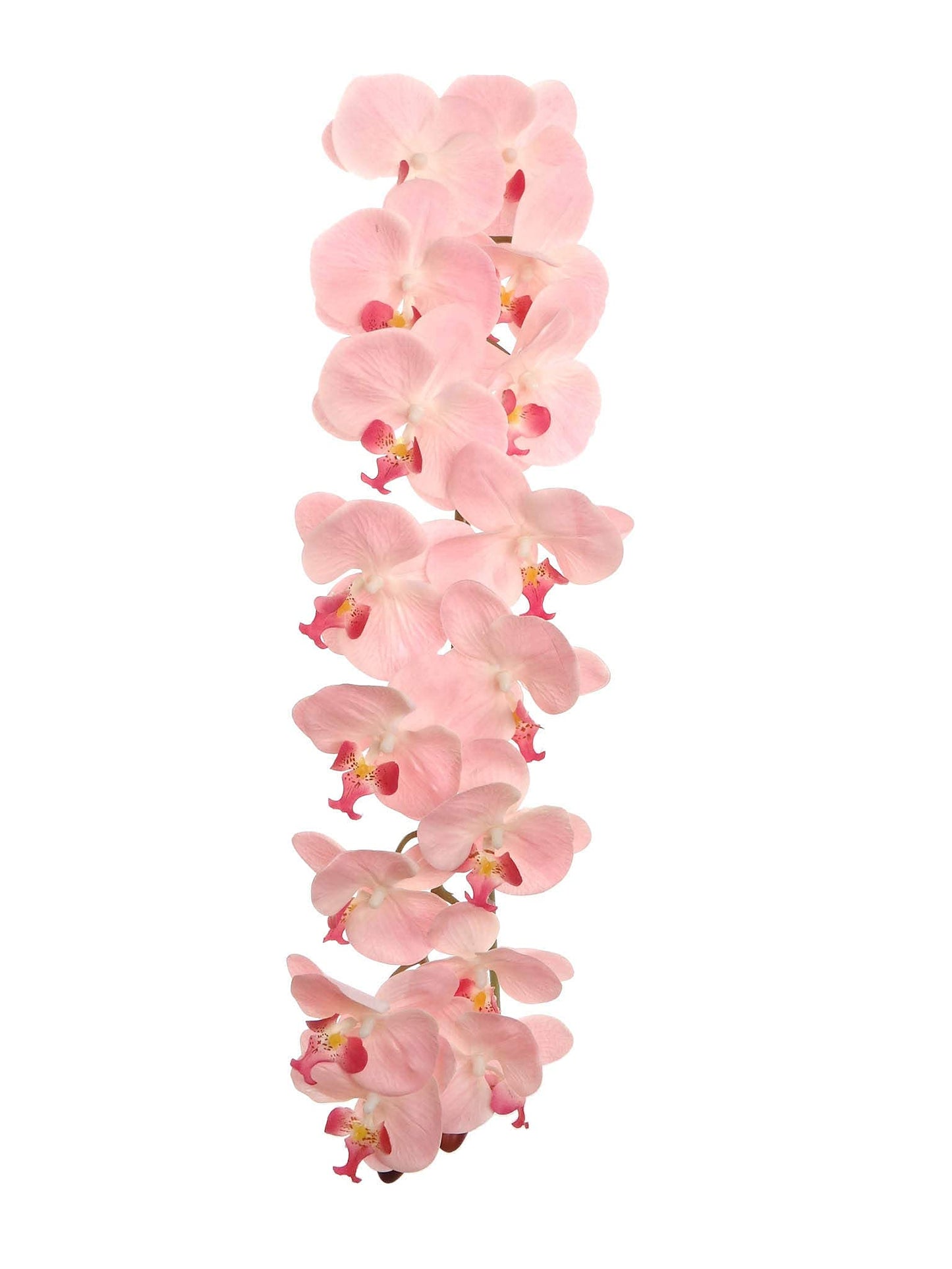 Majestic 49" Phalaenopsis with 16 Blossoms - Perfect for Grand Wedding Displays, Luxurious Home Decor, and Elevated Event Centerpieces