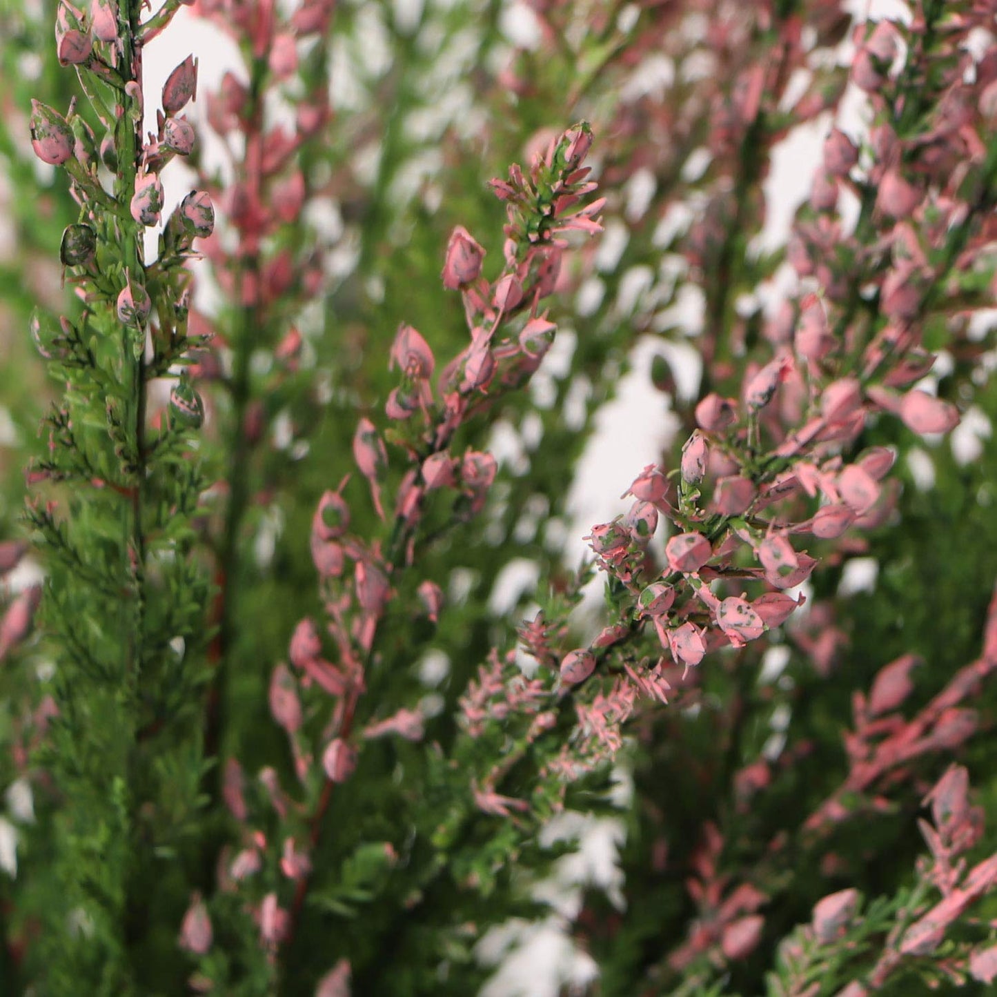 7" Cedar Bush x18 4/p Set: Lifelike Greenery for Home Decor, DIY Wedding Centerpieces, Outdoor Displays, Premium & Durable