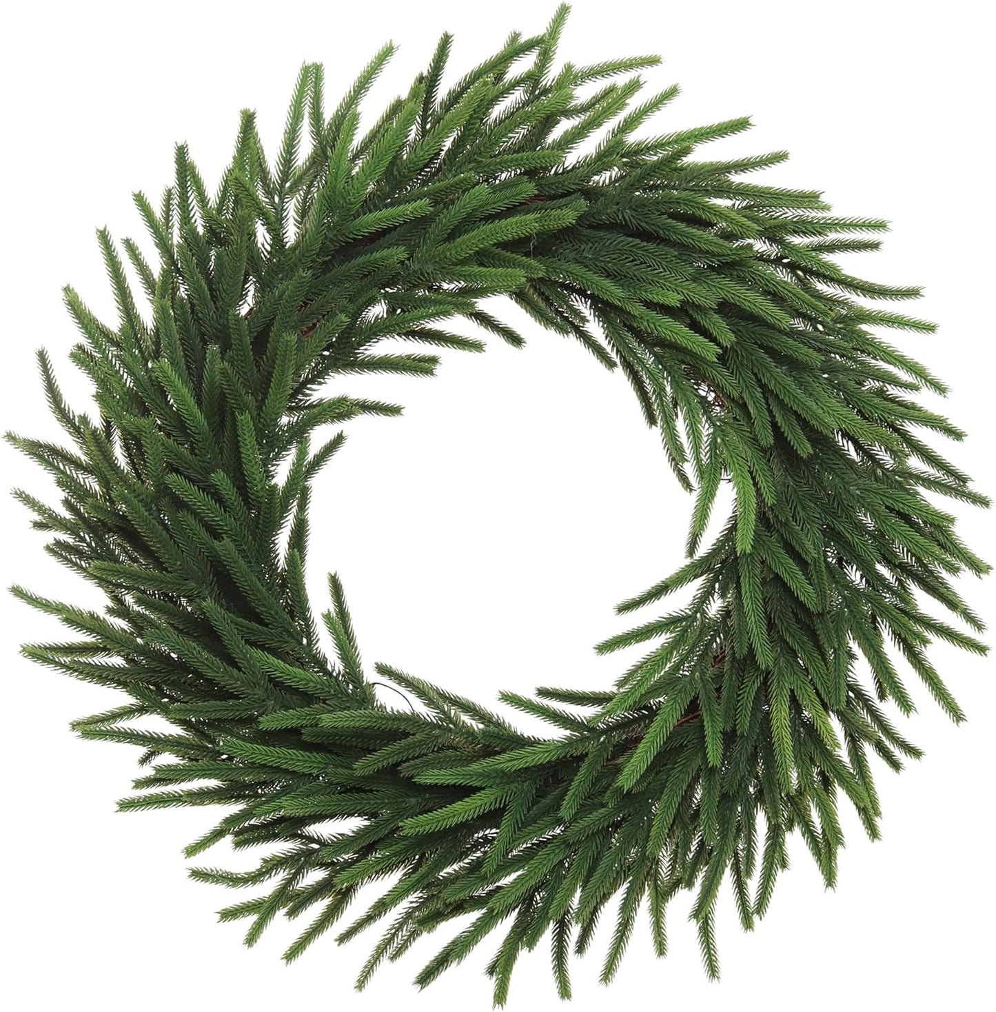 24" Real Touch Norfolk Wreath | Lifelike Greenery | Indoor/Outdoor Use | Christmas & Holiday Décor | Front Door Accent | Home & Office Decoration