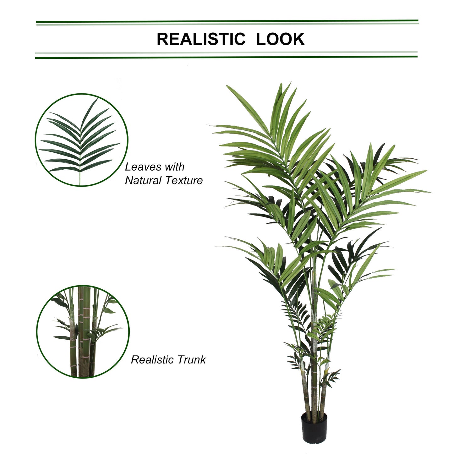 Premium 7' Kentia Palm Plant with 248 Leaves - Luxurious Indoor Tropical Foliage in Decorative Pot for Home and Office Decor
