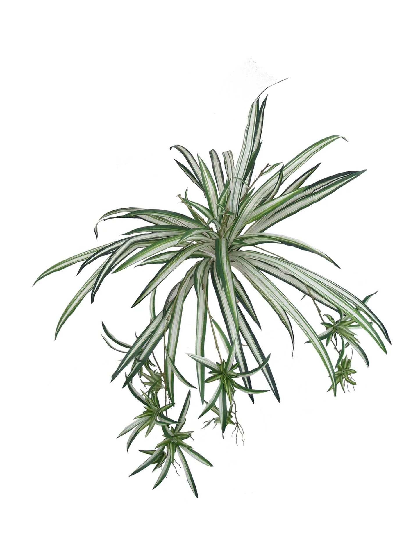 Artificial Silk Spider Plant 100 Fronds - 30" (2 Pieces)