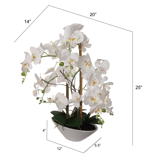 Artificial 24.8" Phalaenopsis Orchid in White Pot - Realistic, Lifelike Silk Flower Plant Decor - Easy Maintenance Home & Office Decoration