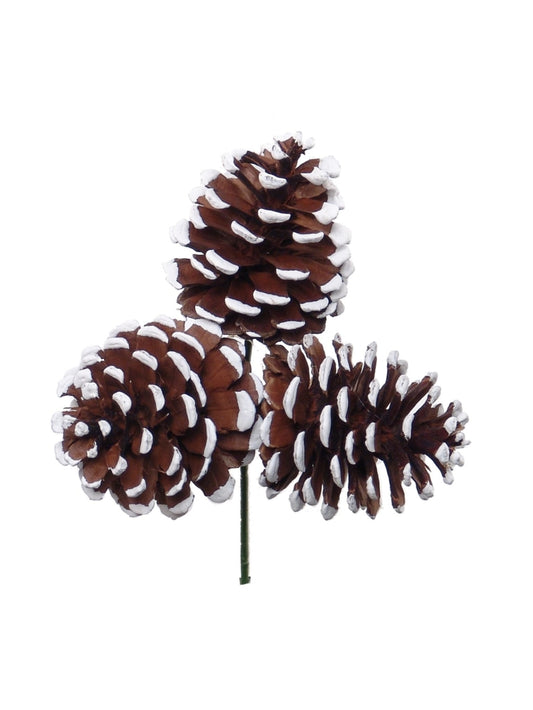 2.5-Inch White Tipped Pine Cone Picks - Set of 36 Pieces - Natural Pinecone Decorations - DIY Crafts, Floral Arrangements, Holiday Decor