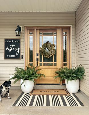 Morgan's Front Door Boston Ferns | Four 48" Ferns | Two 34" Ferns | Simply place in a Planter