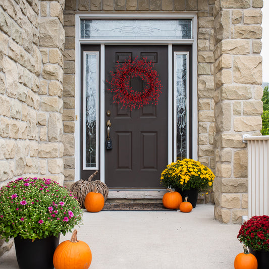 22" Red Rosehip Berry Wreaths - Set of 2, Lifelike Artificial Holiday Décor, Perfect for Front Door, Mantel & Wall - Christmas & Winter Accent