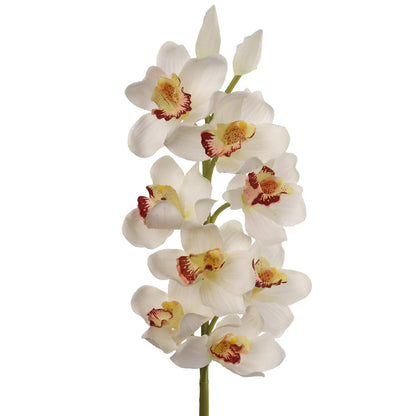 Elegant 30" Cymbidium Stem 10F/2BD: Perfect for Sophisticated Wedding Arrangements, Exquisite Home & Premium Event Décor