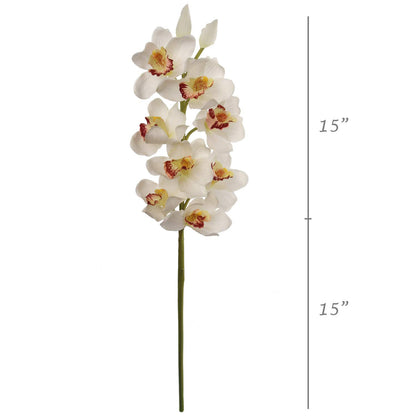 Elegant 30" Cymbidium Stem 10F/2BD: Perfect for Sophisticated Wedding Arrangements, Exquisite Home & Premium Event Décor