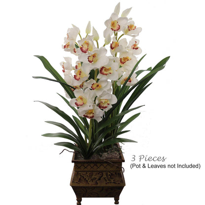 Elegant 30" Cymbidium Stem 10F/2BD: Perfect for Sophisticated Wedding Arrangements, Exquisite Home & Premium Event Décor
