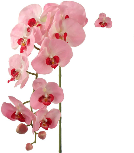 Majestic 49" Phalaenopsis with 16 Blossoms - Perfect for Grand Wedding Displays, Luxurious Home Decor, and Elevated Event Centerpieces