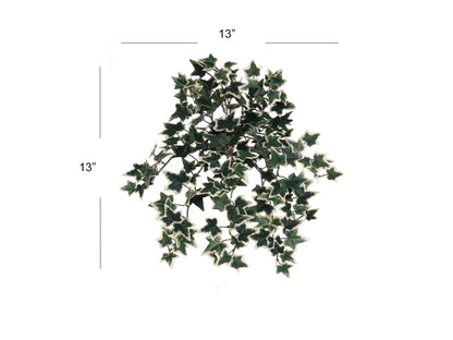 Premium 13" Mini Variegated Ivy Bush /176L - Ideal for Sophisticated Home Ambience, DIY Wedding Touches, Timeless Decor & Memorable Centerpiece Enhancements