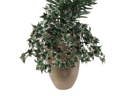 Premium 13" Mini Variegated Ivy Bush /176L - Ideal for Sophisticated Home Ambience, DIY Wedding Touches, Timeless Decor & Memorable Centerpiece Enhancements