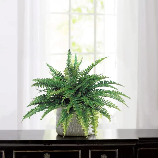 Premium Boston Fern x50, 34"D 2/PC: Lifelike Faux Greenery for Home Displays, Weddings & Centerpieces, Ideal Event & Home Decor