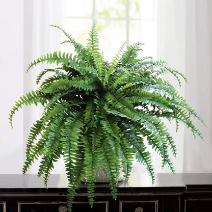 Morgan's Front Door Boston Ferns | Four 48" Ferns | Two 34" Ferns | Simply place in a Planter