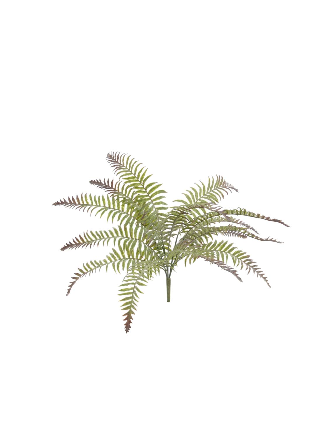 20" FR River Fern Bs 2/p Set: Authentic Look for DIY Weddings, Home Centerpieces, Patio Displays; Durable, UV-Resistant Greenery