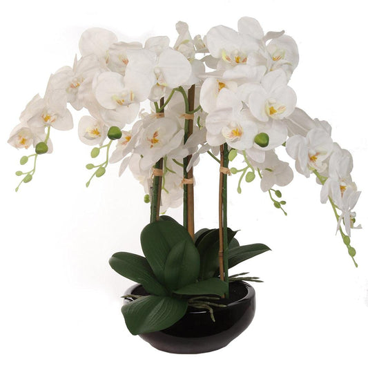 19"x13" Elegant Black Phalaenopsis in 9" Decorative Bowl - Premium Artificial Orchid for Sophisticated Home & Event Displays - Lifelike Floral Decor for Weddings, Celebrations & Interior Styling