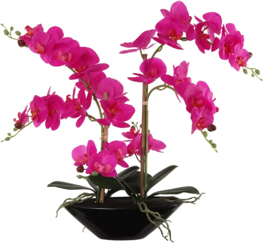 Phalaenopsis Orchid 20" with 6 Buds in Black Vase - Lifelike Silk Flower Arrangement for Elegant Home & Office Decor - Realistic Orchid Design