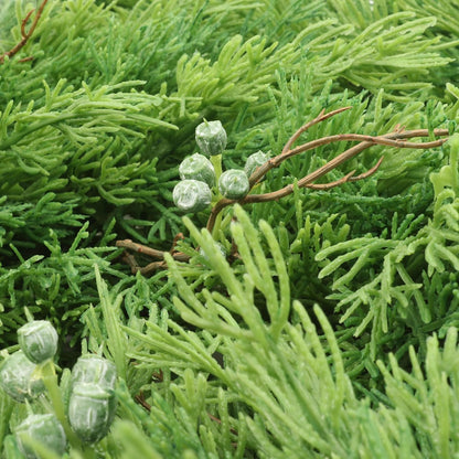 6' Juniper Garland | Lifelike Greenery & Real Touch Green Berries | Brown Twigs Included | Indoor/Outdoor Use | Holiday Xmas Accents | Christmas Garland | Home & Office Decor