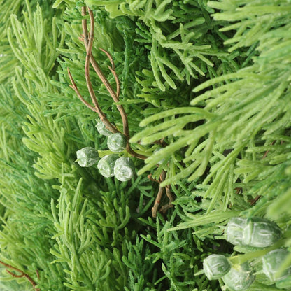 22" Juniper Wreath | Lifelike Greenery & Real Touch Green Berries | Brown Twigs Included | Indoor/Outdoor Use | Holiday Xmas Accents | Front Door | Christmas Wreath | Home & Office Decor