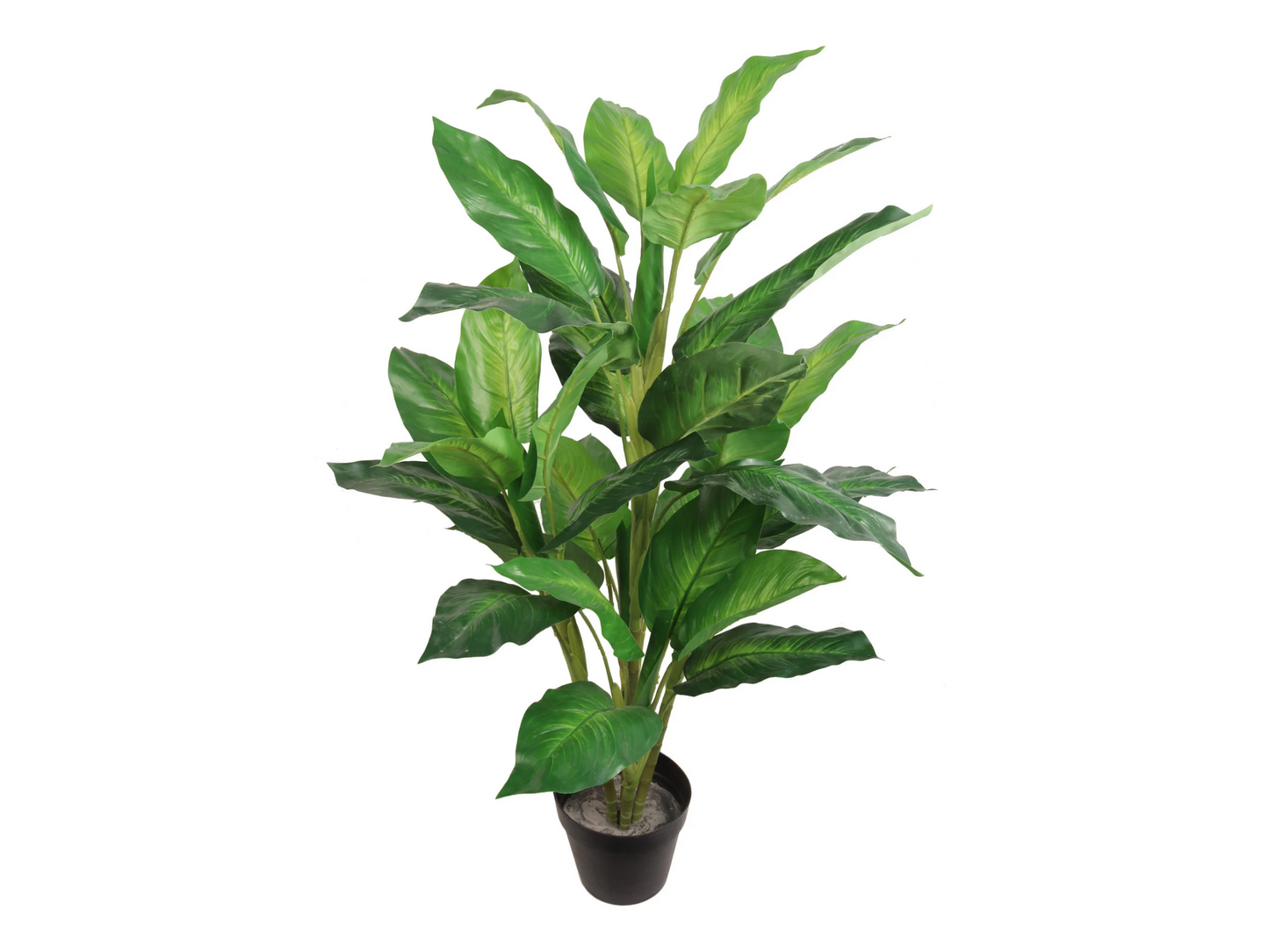 36" Dieffenbachia Artificial Plant - Lifelike Foliage with 40 Leaves, Realistic Indoor Decor Accent, Easy to Maintain, Add Greenery to Your Space with this Stunning Dieffenbachia Plant