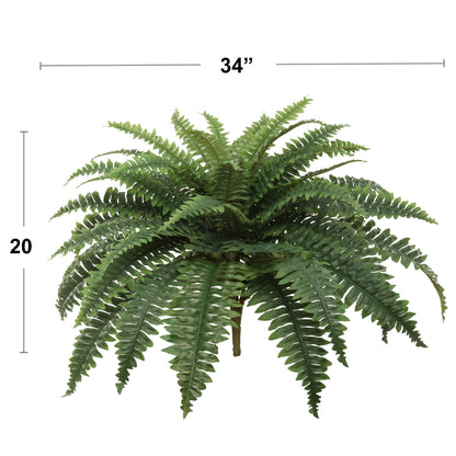 Premium Large Boston Fern - 34" Lush Decorative Indoor Plant with 49 Vibrant Fronds for Home or Office Greenery & Natural Air Purification