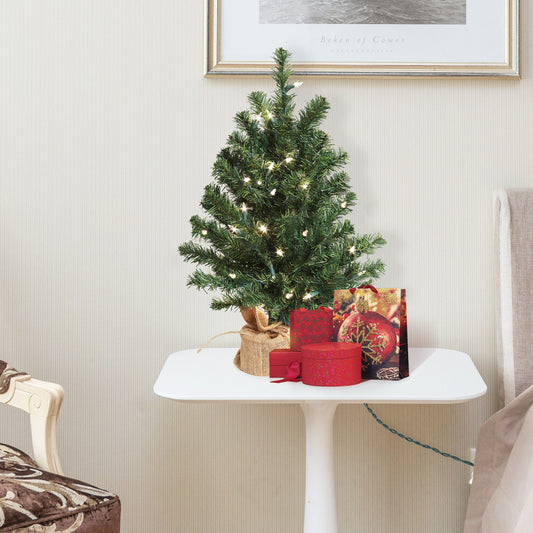 2' Northern Spruce Christmas Tree with Burlap Base | Realistic Greenery | Indoor/Outdoor Use | Holiday & Christmas Décor | Tabletop Accent | Home & Office Decoration
