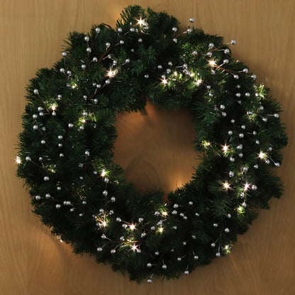 20" LED Northern Wreath | Lifelike Greenery | Indoor/Outdoor Use | Christmas & Holiday Décor | Front Door Accent | Home & Office Display
