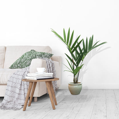 Indoor Oasis 3ft Artificial Kentia Palm Plant with 38 Leaves - Faux Greenery for Home & Office Decor in Elegant Pot