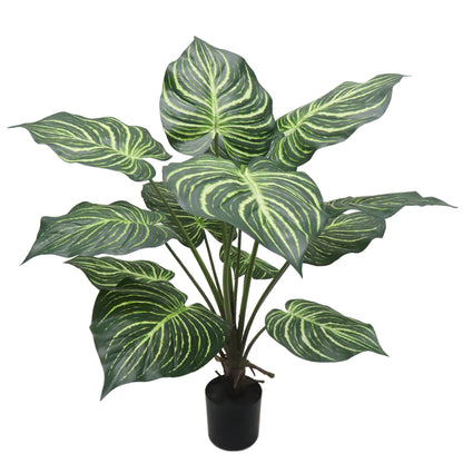 Premium 3' Dieffenbachia Indoor Plant with Decorative Pot - Elegant Tropical Foliage for Home Decor - Air-Purifying, Low-Maintenance, Perfect for Office or Living Room