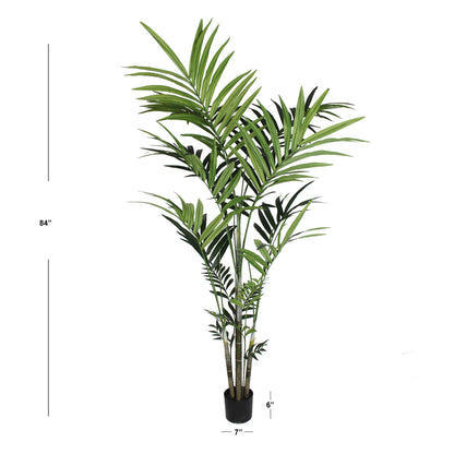 Premium 7' Kentia Palm Plant with 248 Leaves - Luxurious Indoor Tropical Foliage in Decorative Pot for Home and Office Decor