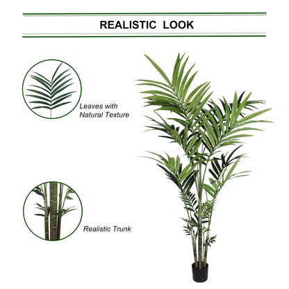 Premium 7' Kentia Palm Plant with 248 Leaves - Luxurious Indoor Tropical Foliage in Decorative Pot for Home and Office Decor