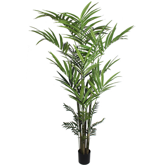 Lush 8' Indoor Kentia Palm Tree with 399 Leaves - Potted Tropical Foliage Decor for Home or Office