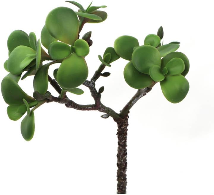 11" Portulacaria Afra - Lifelike Artificial Succulent, Vibrant Faux Greenery for Tablescapes, Elegant Home & Office Decor Centerpieces, DIY Garden Projects & Terrarium Design, Event & Party Accents.