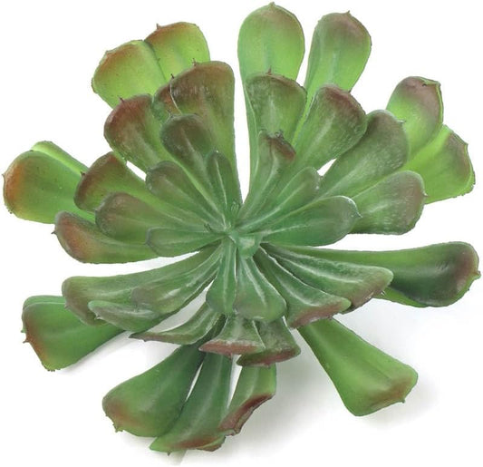 7" Dia Crassulaceas with 5" Stem - Authentic-Looking Artificial Succulent, Perfect for DIY Projects, Elegant Home & Office Decor, Lush Green Centerpieces, Tablescapes & Event Design Elements.
