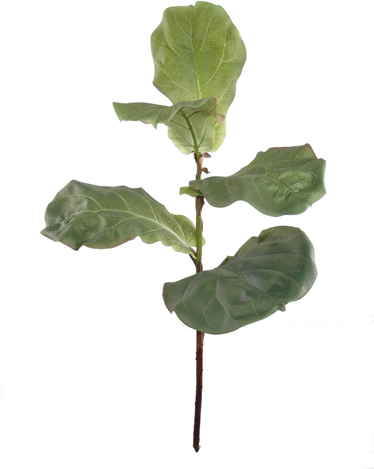 36" Banjo Fig Spray - Lifelike Artificial Fiddle Leaf Greenery, Realistic Design, Perfect for Home Decor, DIY Arrangements, Office Enhancements, and Modern Interior Spaces.