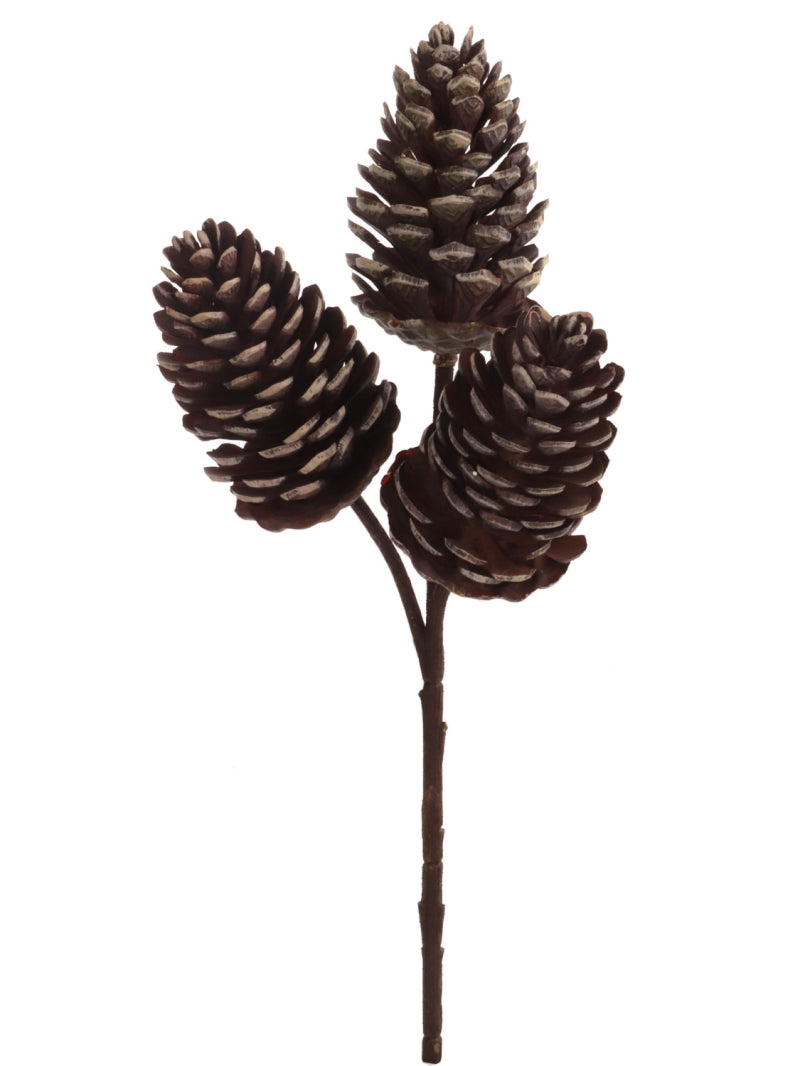 Elegant 10" Pine Cone with White Tips - Set of 24 Pieces - Natural Pinecone Decoration for Crafts, Christmas, and Home Décor