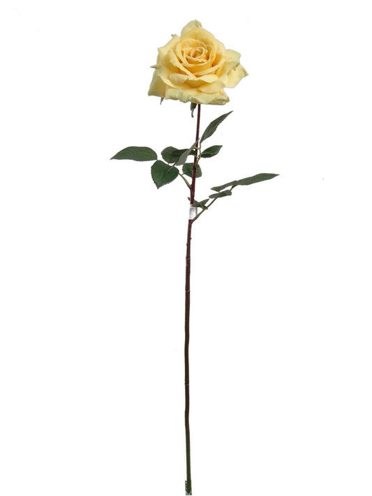 30" Queen Anne Rose - Capture Timeless Beauty with our Lifelike 30" Artificial Queen Anne Rose Ideal for Bouquets, Centerpieces, and Decor