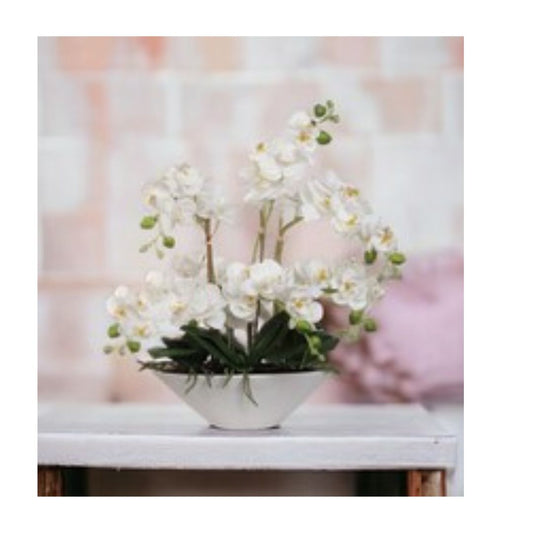 18" White Phalaenopsis Orchid Flowers in White Ceramic Vase