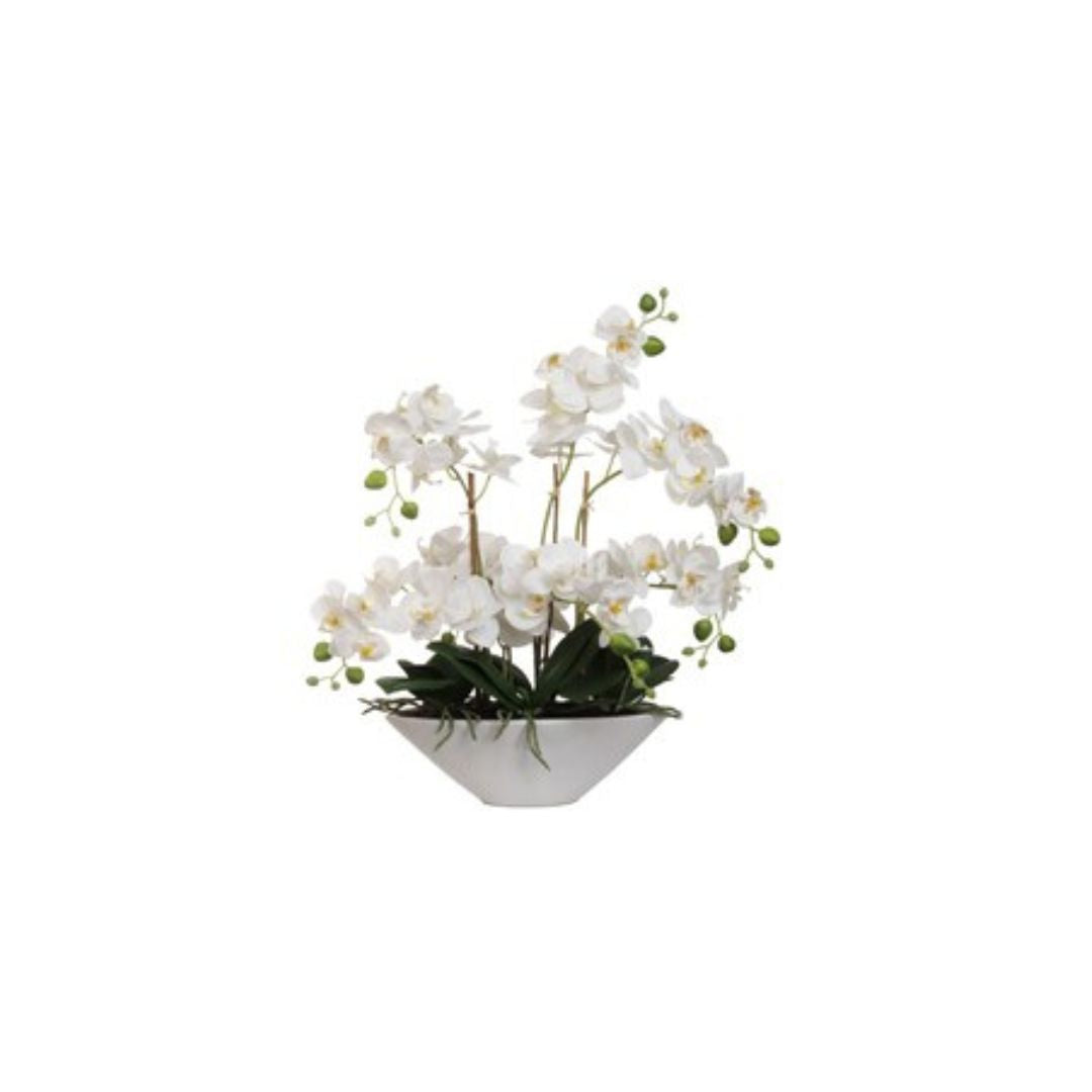 18" White Phalaenopsis Orchid Flowers in White Ceramic Vase