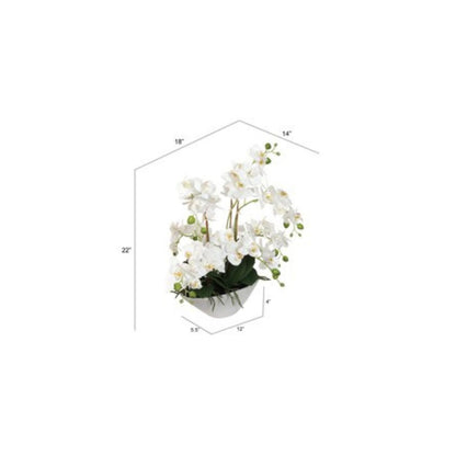 18" White Phalaenopsis Orchid Flowers in White Ceramic Vase