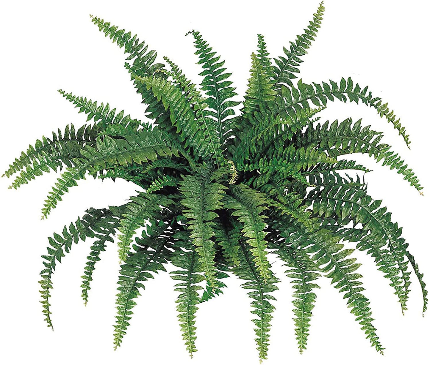 Artificial 48" Boston Fern - Lifelike Faux Plant with 60 Lush Leaves - Indoor/Outdoor Home Decor - Low Maintenance & Realistic Design