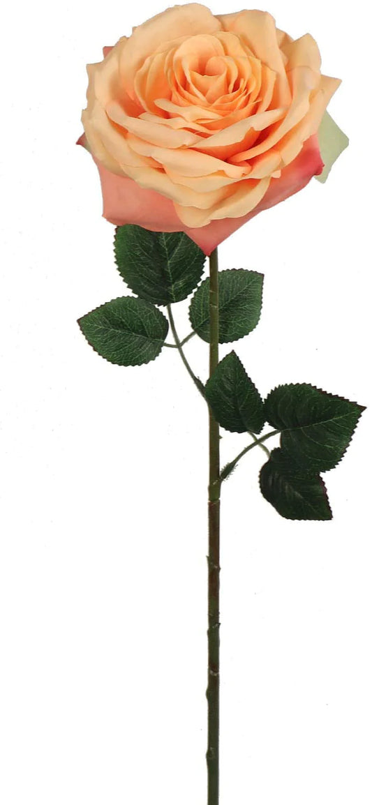 Artificial Apricot Open Rose Stem-20''