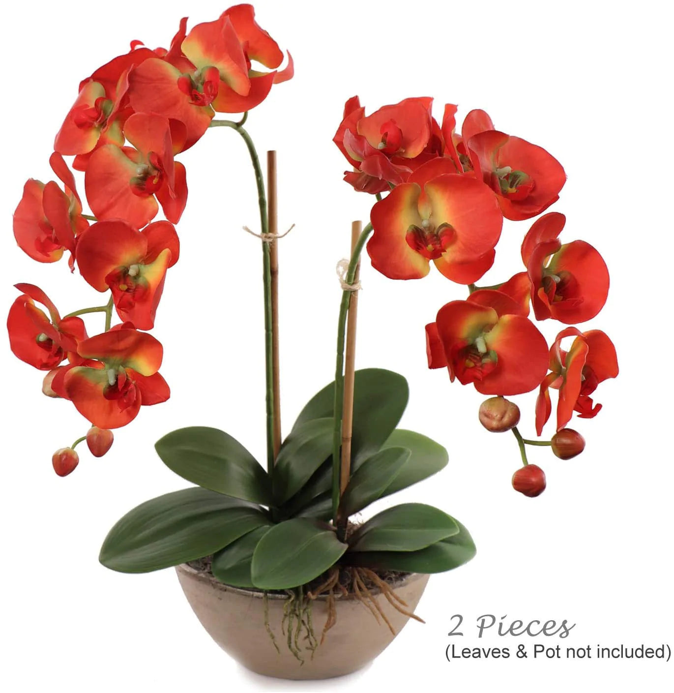 Artificial Real Touch Silk Phalaenopsis Orchid 9 Flowers 3 Buds- 34" (2 Pieces)