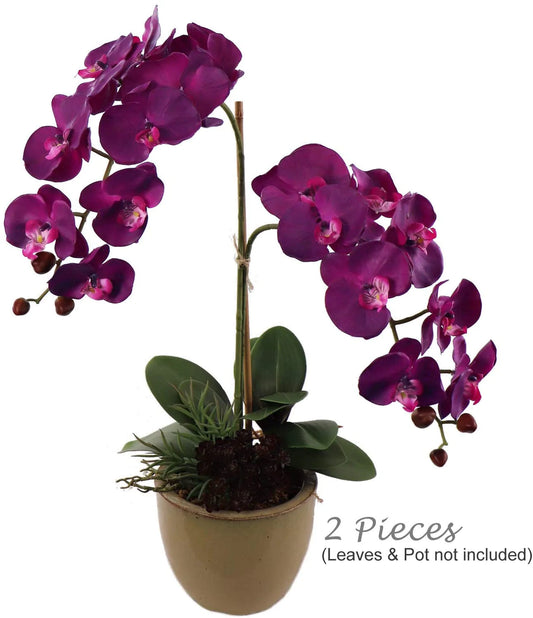 Artificial Real Touch Silk Phalaenopsis Orchid 9 Flowers 3 Buds- 34" (2 Pieces)