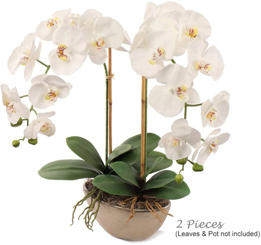 Artificial Real Touch Silk Phalaenopsis Orchid 9 Flowers 3 Buds- 34"