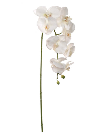 Artificial Real Touch Silk Phalaenopsis Orchid 9 Flowers 3 Buds- 34"