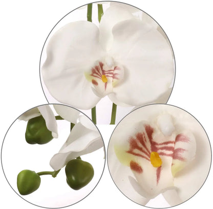 Artificial Real Touch Silk Phalaenopsis Orchid 9 Flowers 3 Buds- 34"