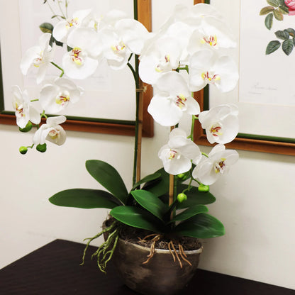 Artificial Real Touch Silk Phalaenopsis Orchid 9 Flowers 3 Buds- 34"