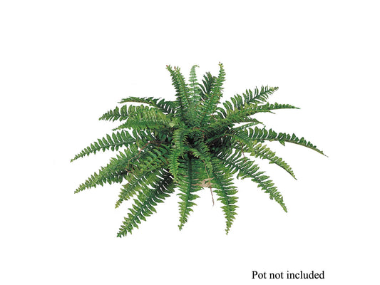 Artificial Boston Fern Plant Wide (35 Fronds)-34"