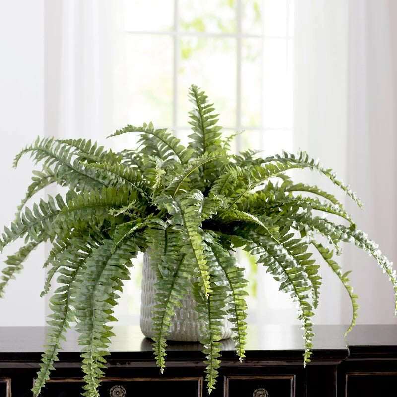 Artificial Boston Fern Plant 48 Fronds- 48"